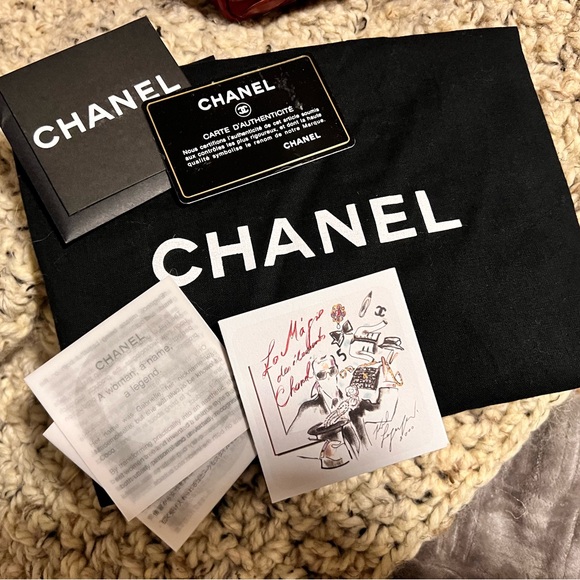 CHANEL Scales Camera Bag Red - Picture 2 of 16